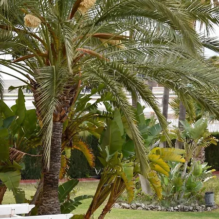 Luminoso Y Tranquilo En Alamos Torremolinos