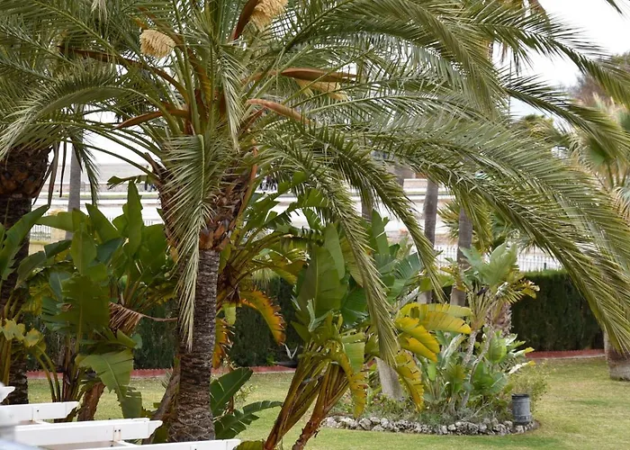 Luminoso Y Tranquilo En Alamos Torremolinos